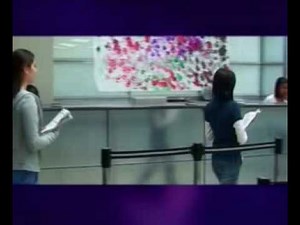 The Hunter College Experience