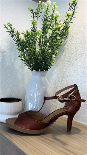 The Dancer's Dream: Exploring Dance Styles and Shoes