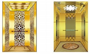 [Hot Item] Pitless Elevator Lift Home Elevators and Residential Elevators Manufacture Since 2000