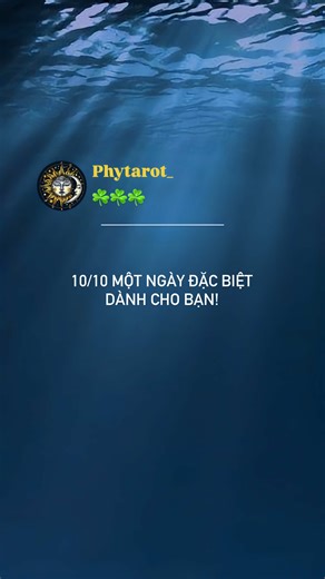 Phytarot: Tarot Reading Insights