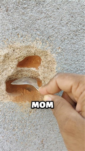 Spoon Vs Wall Brack challange Day 115 #spoon #spoonchallenge