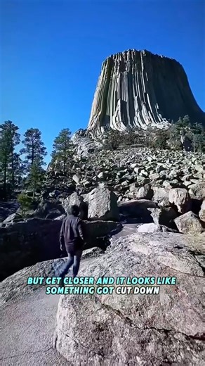 Ancient Explorers on Instagram: "It rises like a mountain, not built but grown. A living giant whose roots remember centuries and whose crown has watched generations pass beneath it. Long before records, before measurements, the Earth was already shaping monuments of its own. Trees like this stand as silent witnesses to a deeper timeline, one measured not in years but in ages. When nature can create giants that endure for millennia, it makes you wonder what else once thrived in a world we barely