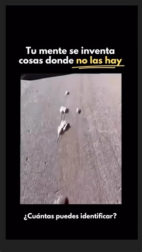 🤯 Tu Mente Te Engaña Constantemente. No Te Fíes del Cerebro Humano. Programate y ten presencia
