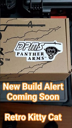 DPMS Panther Arms Kitty Cat Retro Build #shorts #edc #gunculture