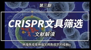 CRISPR文库筛选文献解读集锦