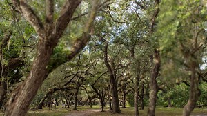Matheson Hammock Park features all the unique elements #OurCounty has to offer. Walk or bike the trails, launch from the marina, go kiteboarding or swim in the atoll pool. There's no shortage of things to do at Miami-Dade Parks' tranquil haven. | Miami-Dade County Government