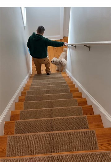 Affordable Non-Slip Stair Treads for Safety