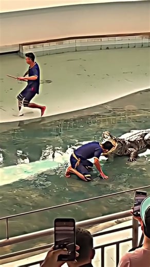 so aggressive funny video 😂🤣😂🤣🤣🤣 #funny #shorts #funny