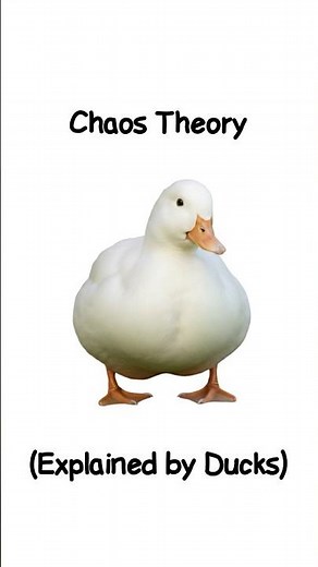 Chaos Theory (Explained by Ducks)