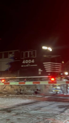 NS 4004 leads a intermodal train!