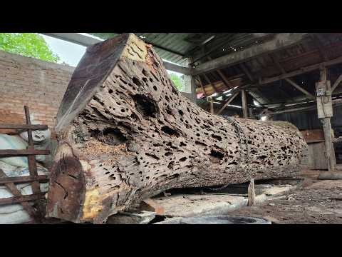 Amazing Pattern Revealed Inside This Tree