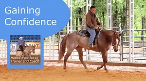 This horse started out scared and worried about everything. With these things I am doing with her she is building confidence and becoming a nice horse. | Tim Anderson Horse Training