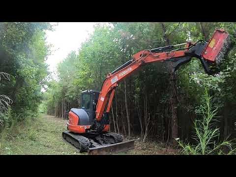 HORNETS AND CORNFIELDS! Mulching Around A Corn Farm