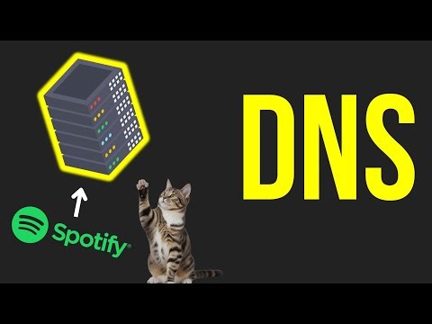 This Tiny System Controls the WHOLE Internet (Domain Name System)