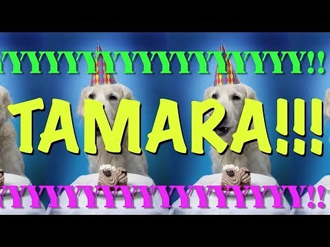 HAPPY BIRTHDAY TAMARA! - EPIC Happy Birthday Song