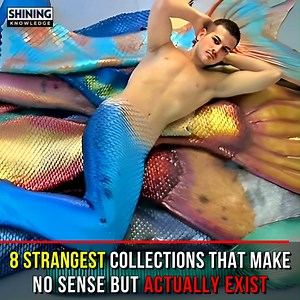 8 Strangest Collections That Make No Sense But Actually Exist | Shining Knowledge