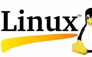 【硬核内容】--Linux基础介绍(上)