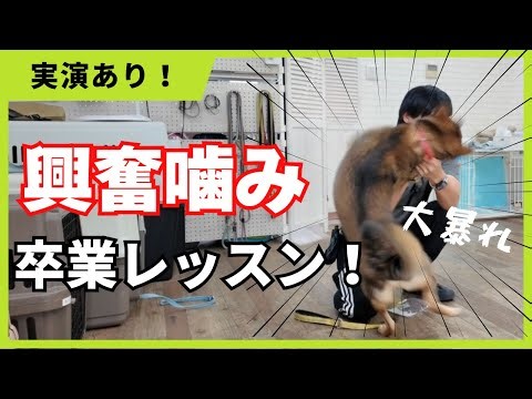 [Gentle biting/excited biting] Persistent gentle biting! Could this actually be the cause?