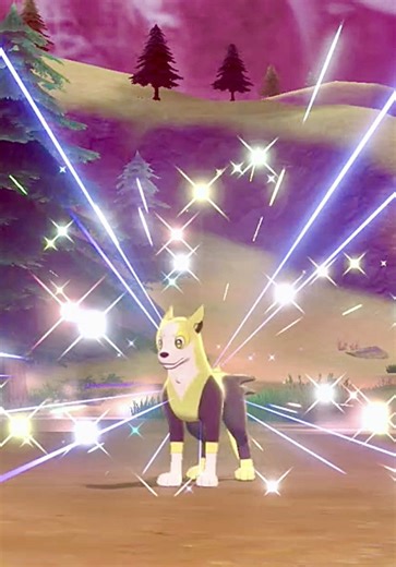 Shiny Brilliant Boltund ✨ 0836 Catches Me in Pokemon Sword with Shiny Charm & 500 KOs . . . . . . shinylivingdex shinypokemon pokemon shinydex pokemonscarlet pokemonscarletviolet pokemonscarletandviolet massoutbreak isolatedencounter shinycharm pokemoncommunity pokemoncards pokemontcg pokemongo nintendoswitch switch2 youtubeshorts shorts pokemonlegendsarceus pokemonbrilliantdiamond pokemonbdsp pokeradar poketch pocketmonster pokemonshiningpearl pokemonsword pokemonswordshield pokemonswordandshie