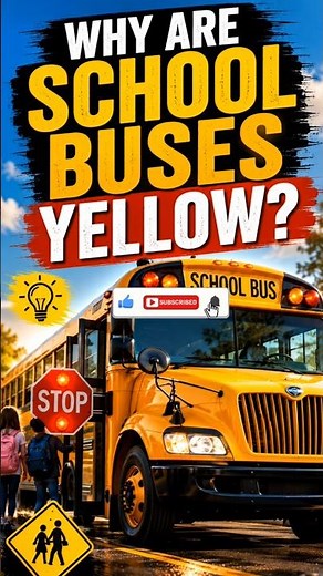 Why Are School Buses Yellow? 🚌 #facts #science
