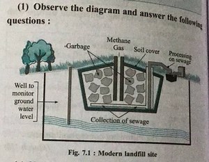 (1) Observe the diagram and answer the following questions :F... | Filo