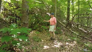 ABANDONED / FORGOTTEN GOLD MINE DISCOVERED IN MOUNTAIN! | History Seekers