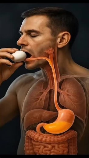 #health #healthcare #fyppppppppppppppppppppppp @#foryou