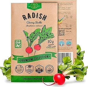 Cherry Belle Radish Seeds Pack 10 G - Over 1200 Non-GMO Heirloom Radish Seeds for Planting Vegetables in Individual Seed Packet, Vegetable Seeds for Planting Home Garden Indoor & Outdoor Gardening
