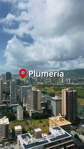 Explore Waikiki From Here 🌴 | Plumeria Vacation Rentals
