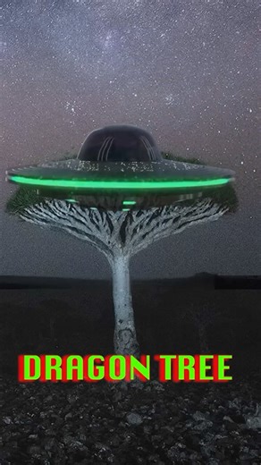 Earth par Alien Island exist karta hai 😱