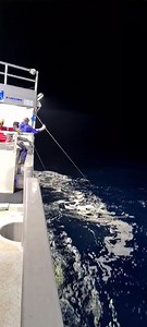 7.8M views · 36K reactions | Maintaining the mainline, we crimp the mainline joins instead of the traditional blood knot because of the line setter but I am not a fan of crimping the line, not a fan at all. Much faster and a lot stronger using a blood knot | Tk Offshore Fishing | Facebook