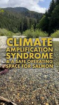 Climate Amplification Syndrome & Safe Operating Spaces for Salmon