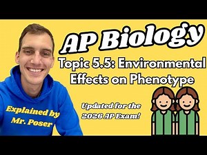 5.5 Environmental Effects on Phenotype - AP Biology (Updated 2025-2026)