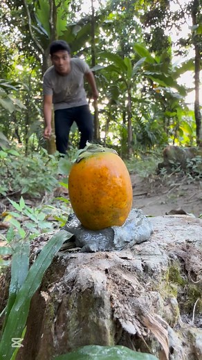 Survival skills by eating betel nut shells #camping #bushcraft #survival #sentopro #facts #lifehacks | Sentopro