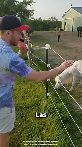 855K views · 3.7K reactions | Así Es Como Funcionan Las Cercas...