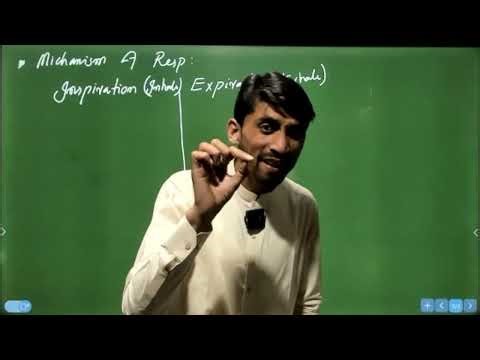 Respiratory system lecture 2026 Lungs volume and lungs capacities, ventilation gasses transport