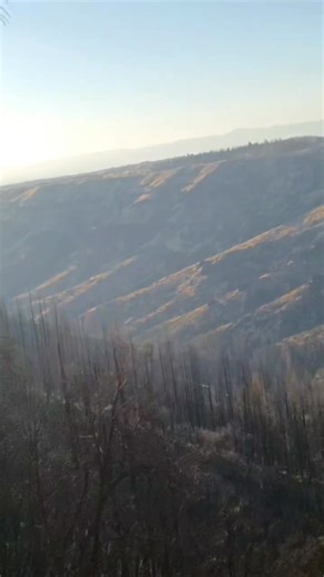 Take a step back in time with me to last year, when we spent six incredible weeks restoring meadows in the heart of the Ishe Wilderness—at Panther Springs Meadows. This throwback captures a quiet moment of reflection as I sit on a rock, surrounded by the stunning beauty of Panther Springs, the valley below, and the vast mountain range of the Ishe Wilderness in California. These weeks of meadow restoration and training changed everything this moment was pure magic.#ThrowbackAdventure #Ishi #Panth