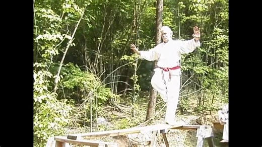 Okinawan White Crane Karate - Speed and Evasion Vol. 2