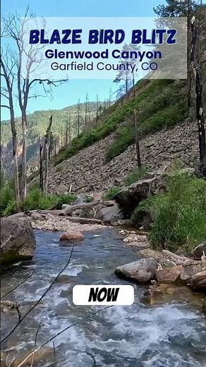 Blaze Bird Blitz from Glenwood Canyon, Colorado