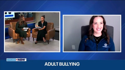 Adult bullying on the rise: Experts push for awareness and prevention | ChicagoNOW