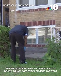 60K views · 207 reactions | “Medium ones, big ones, diving under...