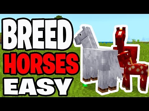 How To Breed Horses In Minecraft Bedrock! - Tutorial