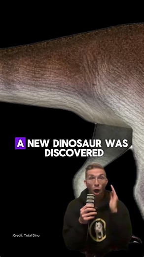 370K views · 11K reactions | New Dino Dropped 秊If you want to stay up to date on new dinosaurs and the newest research on them, then you gotta sign up for my newsletter! Every month I bring you cutting edge research on dinosaurs absolutely free. Go to the link in my bio to sign up練 #dinosaur #dinosaurs #dinos #fossil #fossils #naturalhistory #paleontology #paleontologists #paleontologist #scicomm #science #JurassicWorld #JurassicPark #newdino | Daily Dino Guy | Facebook