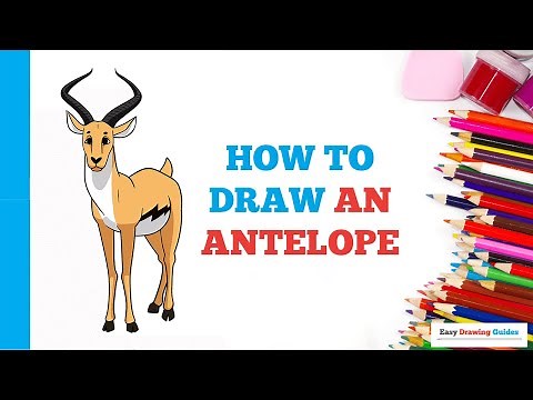 How to Draw an Antelope in a Few Easy Steps: Drawing Tutorial for Beginner Artists