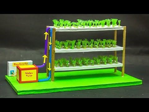 School Projects | Hydroponic Farming Model