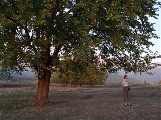 Beginning | movie | 2021 | Official Trailer - video Dailymotion