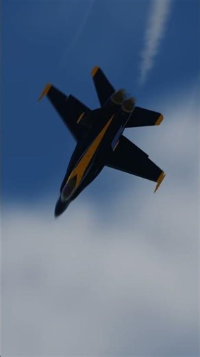 What is your favourite Blue Angels manoeuvre? #dcs #flightsimulator