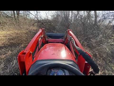 Kioti CK2610 Tractor with Piranha Tooth Bar Attachment pulling up honeysuckle