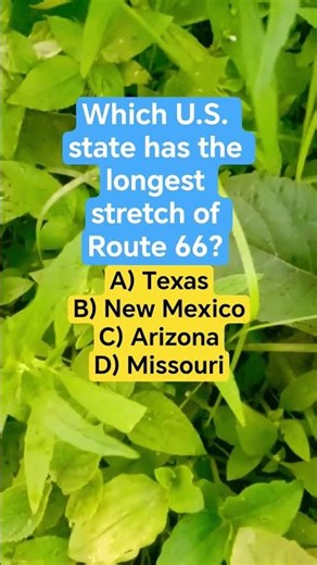 Which U.S. state has the longest stretch of Route 66?