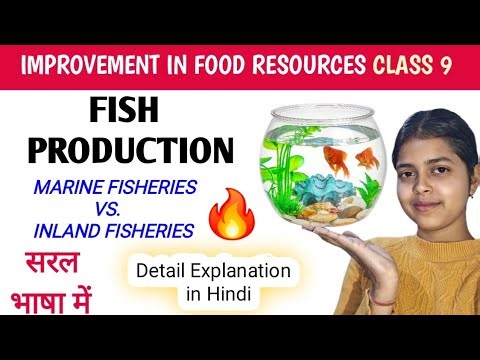 FISH PRODUCTION CLASS 9 | IMPROVEMENT IN FOOD RESOURCES CLASS 9 | Marine & inland fisheries #biology